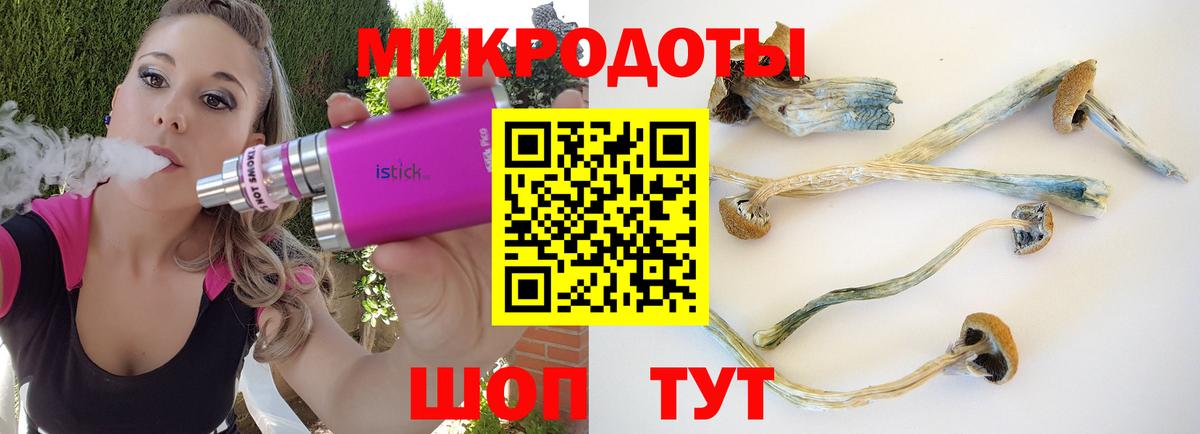 Отрадное  дарнет шоп  Вход с VPN  Галлюциногенные грибы GOLDEN TEACHER 